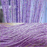 13 Colors Vogue Curtain Silver Silk Tassel String 200cm x 100cm Door