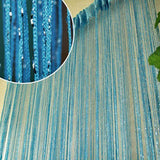 13 Colors Vogue Curtain Silver Silk Tassel String 200cm x 100cm Door