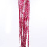 13 Colors Vogue Curtain Silver Silk Tassel String 200cm x 100cm Door